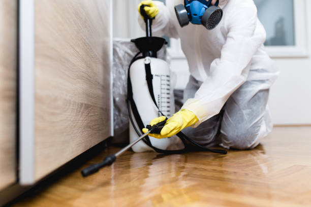 Best Best Pest Control Companies  in Slatington, PA
