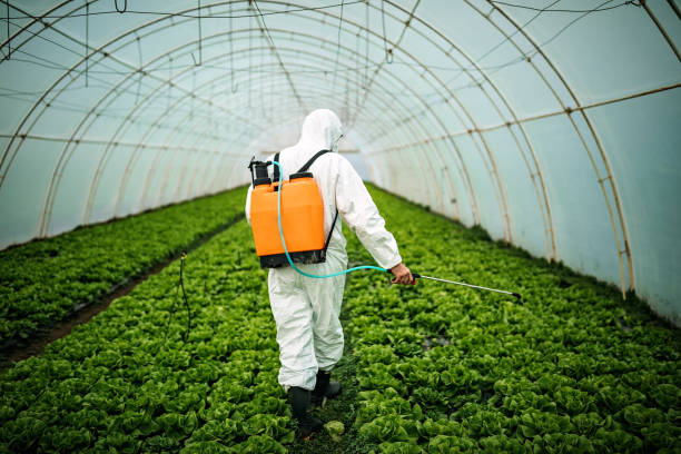 Best Mosquito Control Services  in Slatington, PA