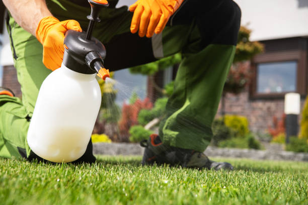 Pest Prevention Services in Slatington, PA