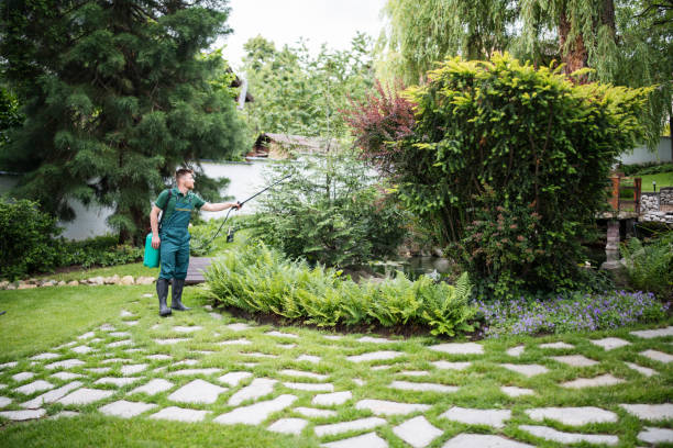 Best Commercial Pest Control Services  in Slatington, PA